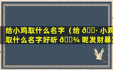 给小鸡取什么名字（给 🌷 小鸡取什么名字好听 🌾 呢发财暴富）